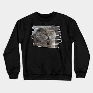 funny cat , Crewneck Sweatshirt